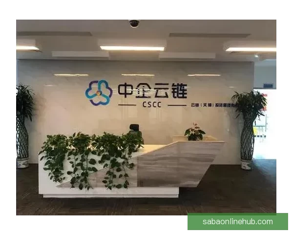 开云APP创新功能全解析，提升购物体验与个性化推荐服务